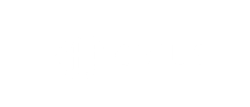 lifelike group audio visual installation