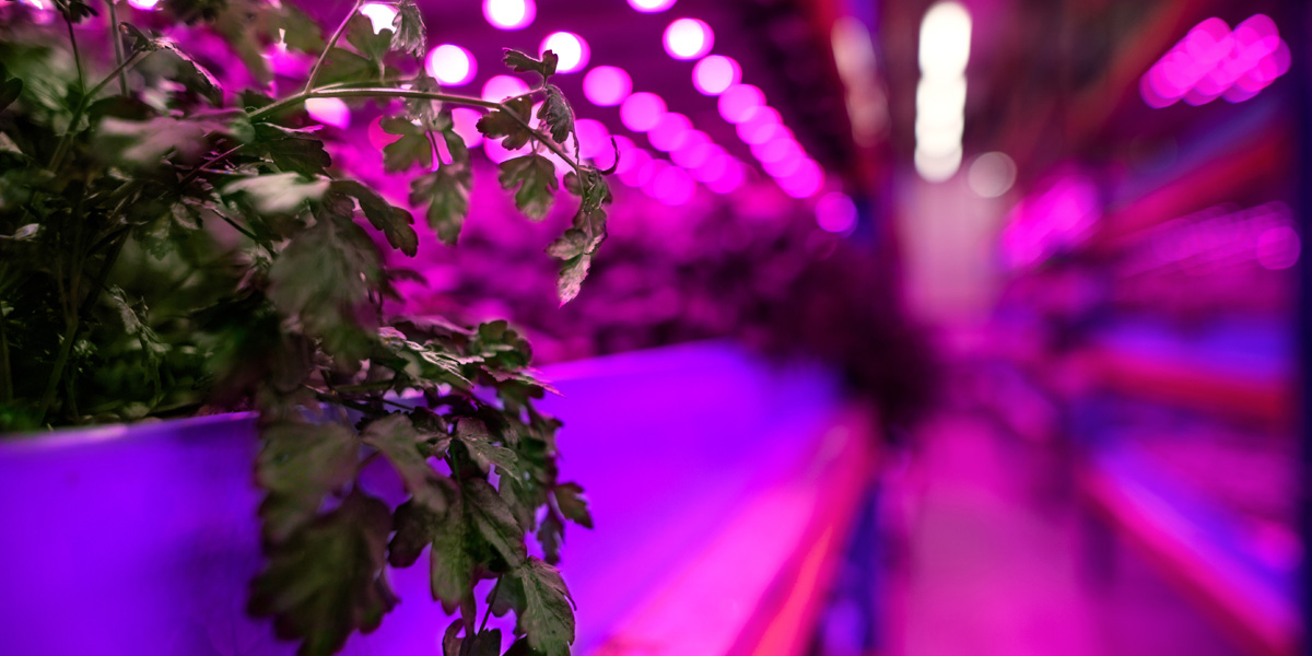 av-installation-lifelike-retail-3