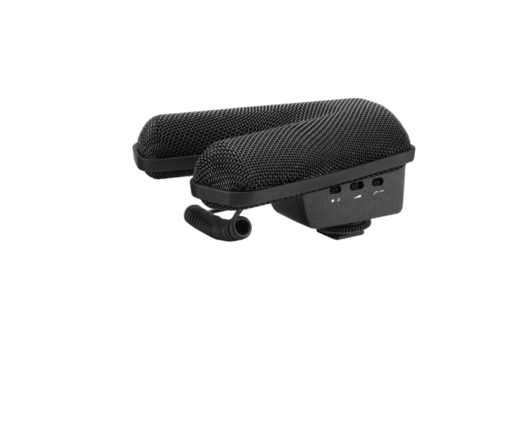 Stereo shotgun microphone