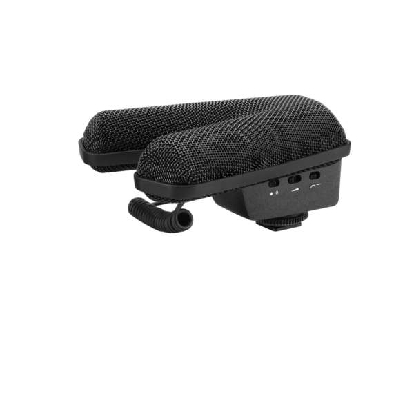 Stereo shotgun microphone