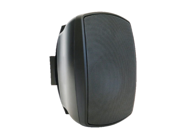 5.25 inch two-way 30 watt 100 volt line or low impedance Black Pair