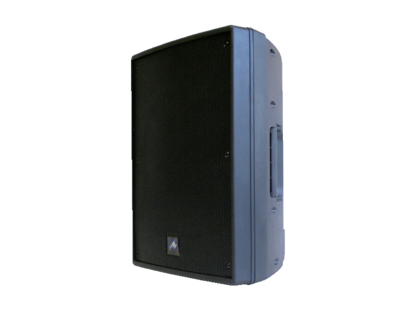 Speaker Two way, 10" woofer & 1.5" driver