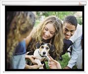 Deluxe Pull Down - 100" 4:3