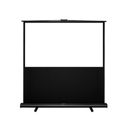Pull Up Screen - 100" 4:3