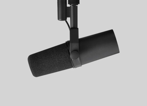 Microphone Dynamic Lo Z Broadcast Voice Over Cardioid Switchable Response