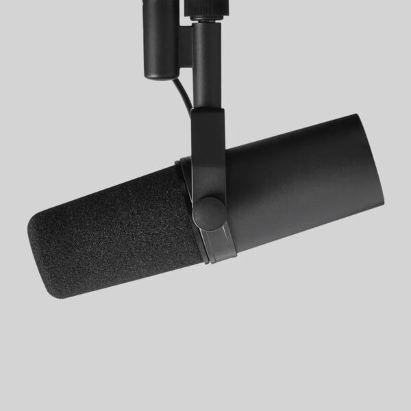 Microphone Dynamic Lo Z Broadcast Voice Over Cardioid Switchable Response